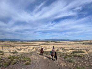 A rancher’s view: the biggest pitfalls of collecting ranch records