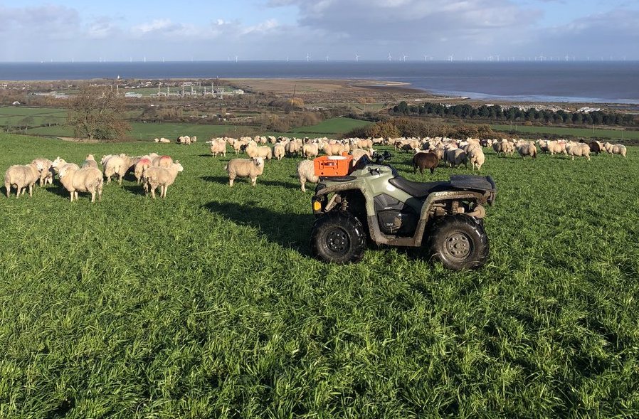 AgriWebb - Activity in Ty Draw Farm