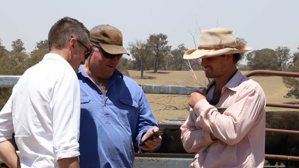 AgriWebb - Discussion at Wirribilla Farm