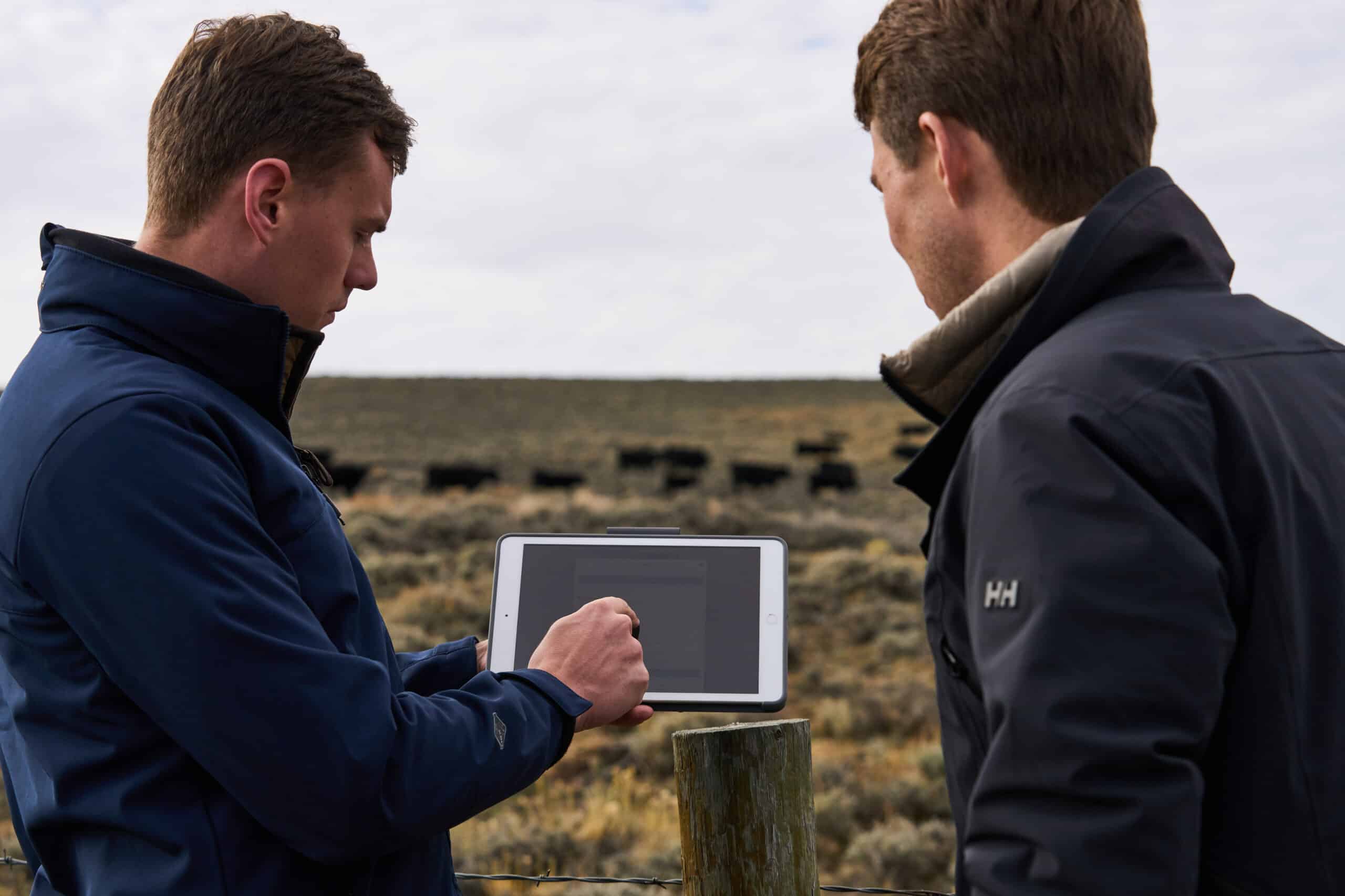 rancher using livestock farm management software