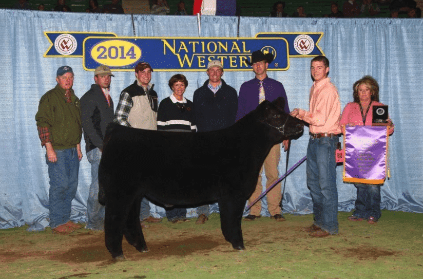 winning cow at national western