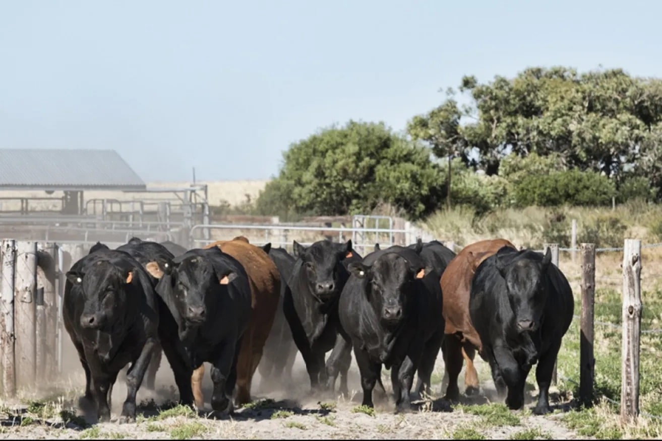 Technical Innovations Lend Farmers a Helping Hand | InDaily