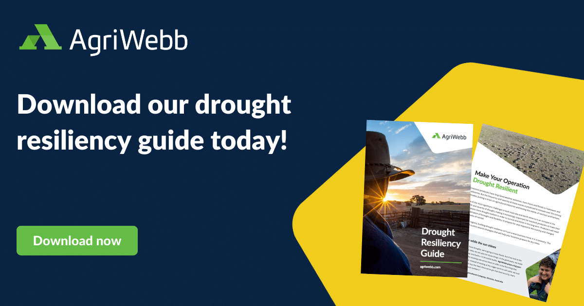 Drought resiliency guide