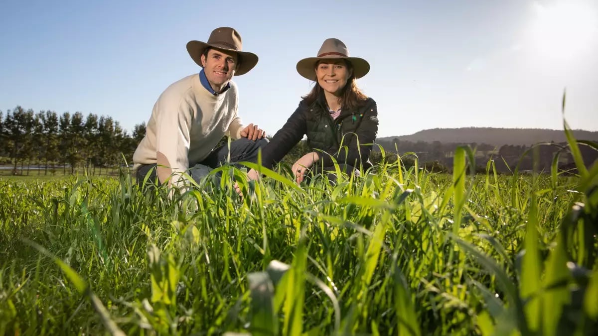 How to Brand Regenerative Agriculture | The Land