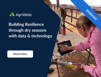 Webinar: Building resilience during dry seasons with data and technology