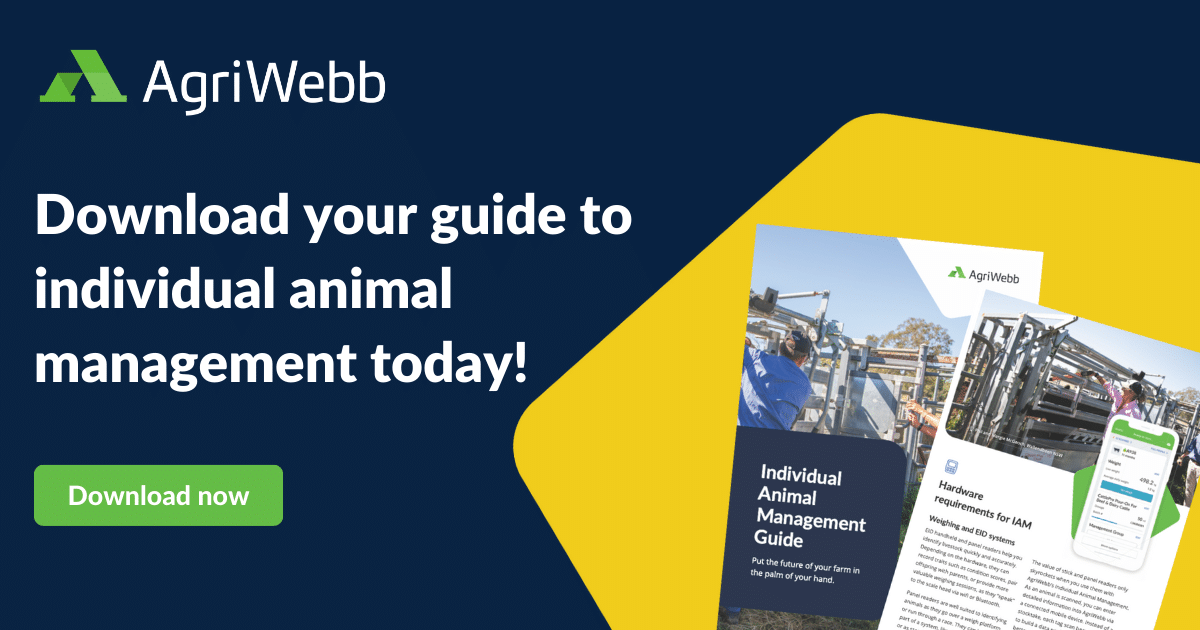 Individual animal management guide