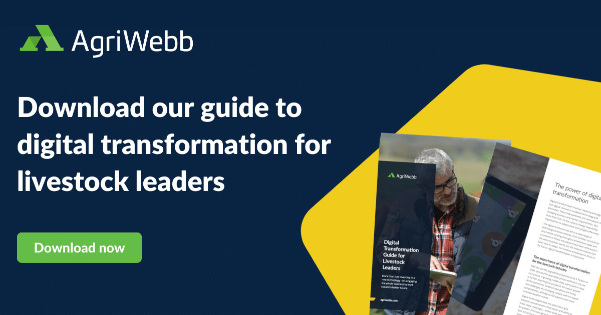 Digital transformation guide for livestock leaders
