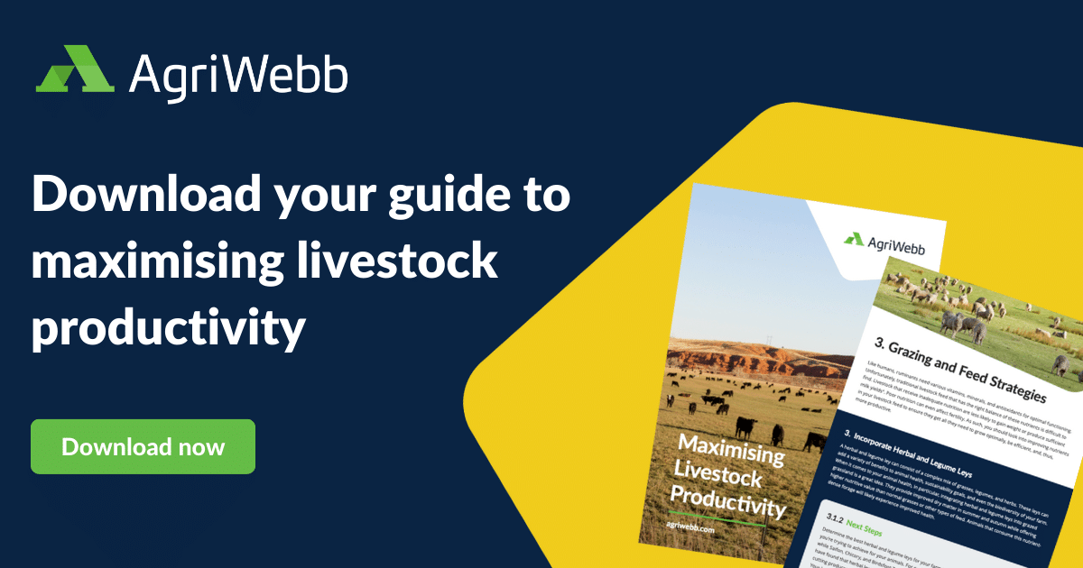 Maximising livestock productivity