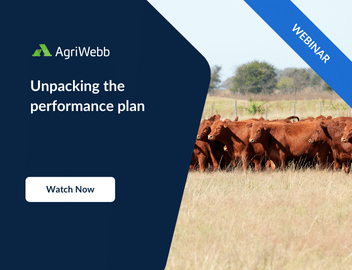 Unpacking the Performance Plan