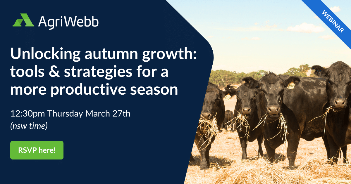 Webinar: Unlocking autumn growth – tools & strategies for a more productive season