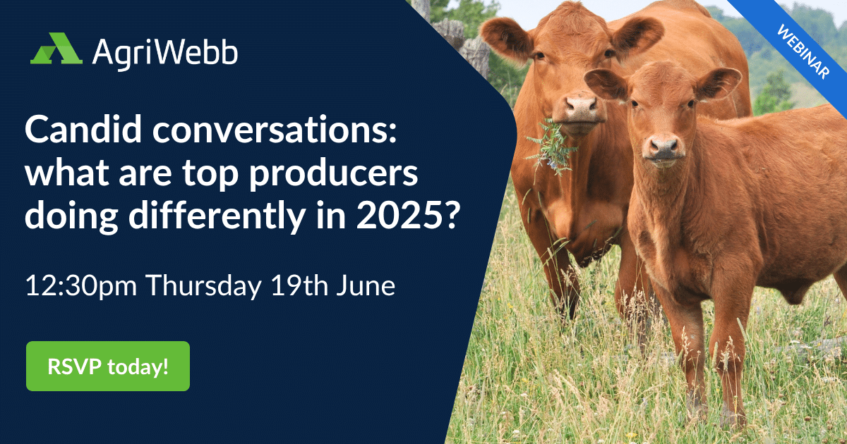Candid conversations: what are top producers doing differently in 2025?