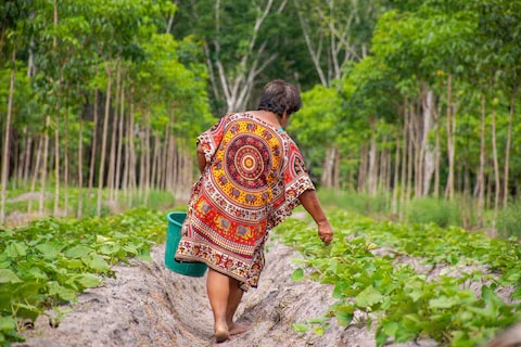 Can Insetting Stack the Cards Towards More Sustainable Supply Chains? | Reuters