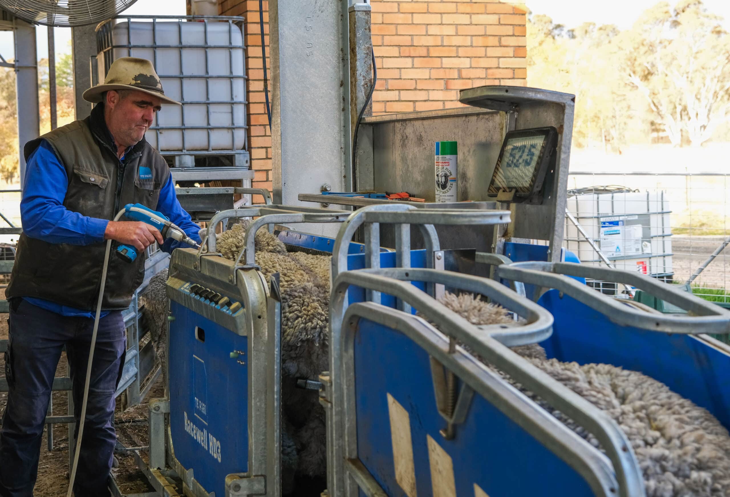 AgriWebb + Te Pari: Racewell Sheep Handler with Macrostock Scale