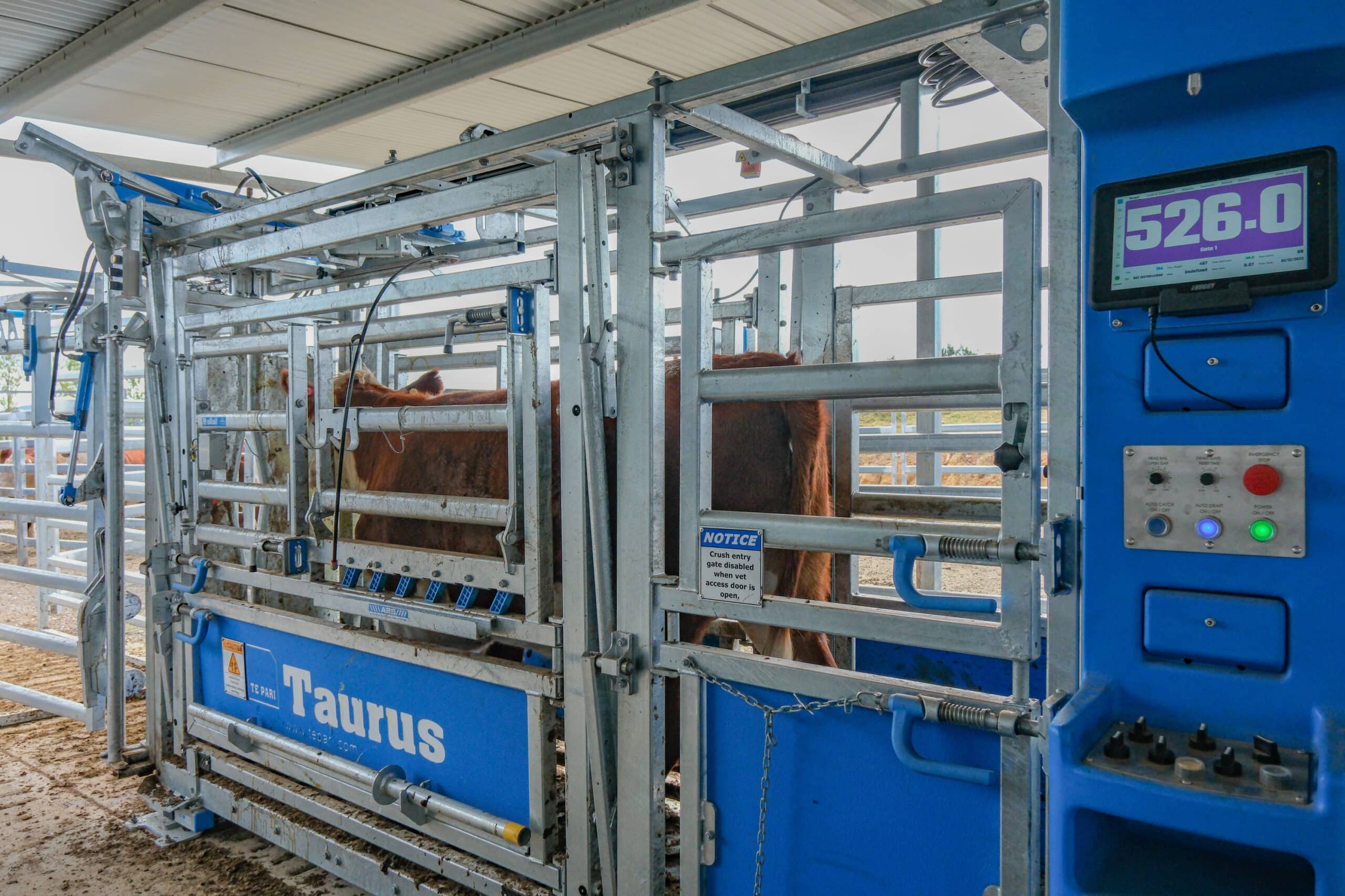 AgriWebb + Te Pari Integration: Te Pari Taurus Auto Crush with Macrostock Scale