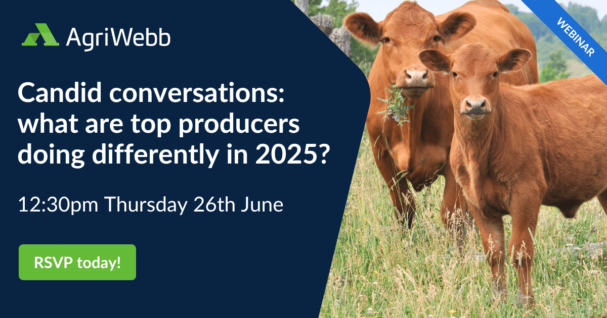 Candid conversations: what are top producers doing differently in 2025?