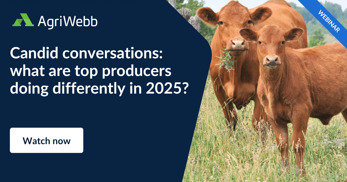 What are the top producers doing differently in 2025?