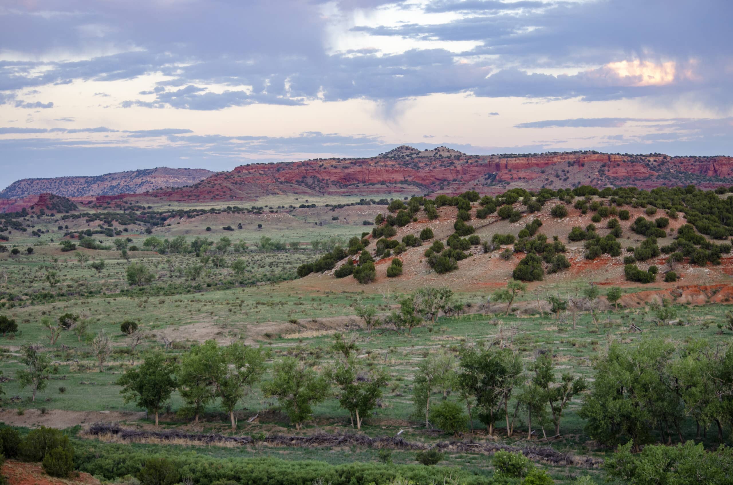 Beatty Canyon Ranch - AgriWebb Customer Story