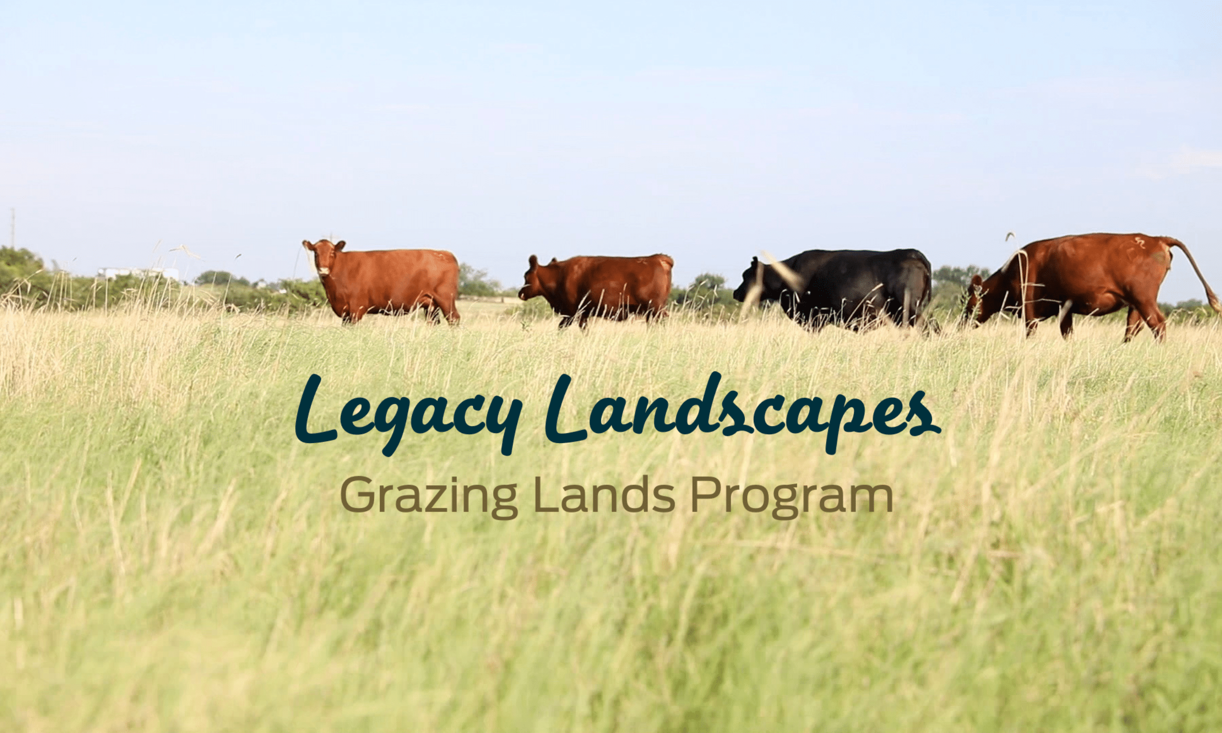 The Legacy Landscapes Program