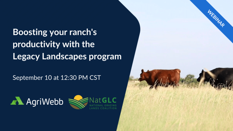 Boosting your ranch’s productivity with the Legacy Landscapes program