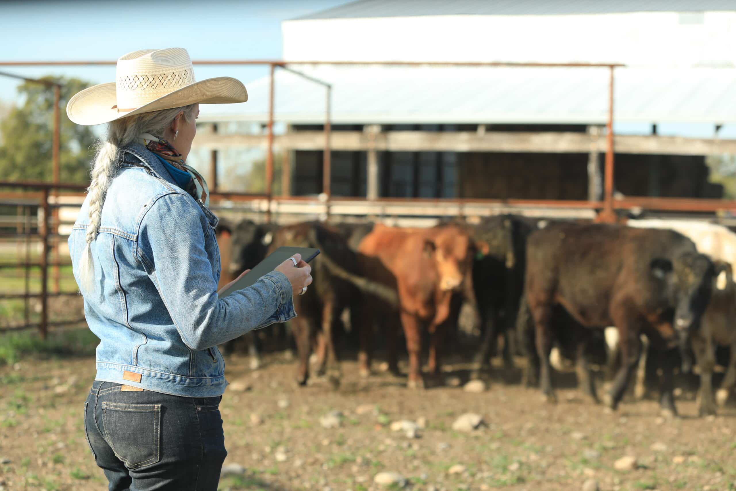Legacy Landscapes Program - Rancher Improvement Plan