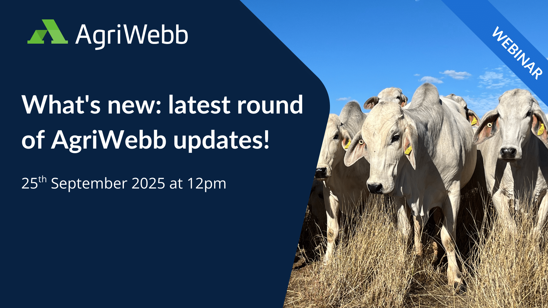 What’s new: latest round of AgriWebb updates!