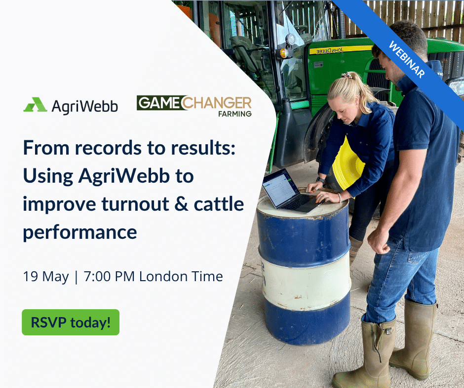 From records to results: Using AgriWebb to improve turnout and cattle performance