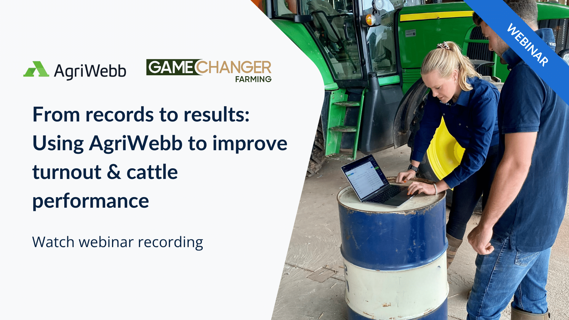 How to use AgriWebb to improve cattle turnout and performance