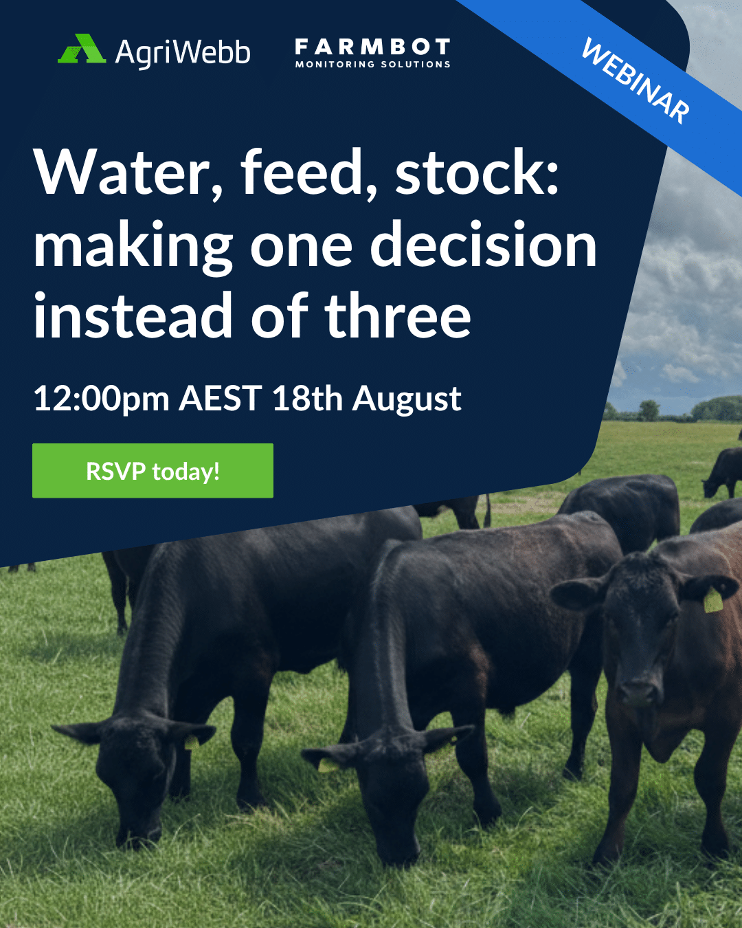 Webinar: Water, feed, stock: making one decision instead of three. 