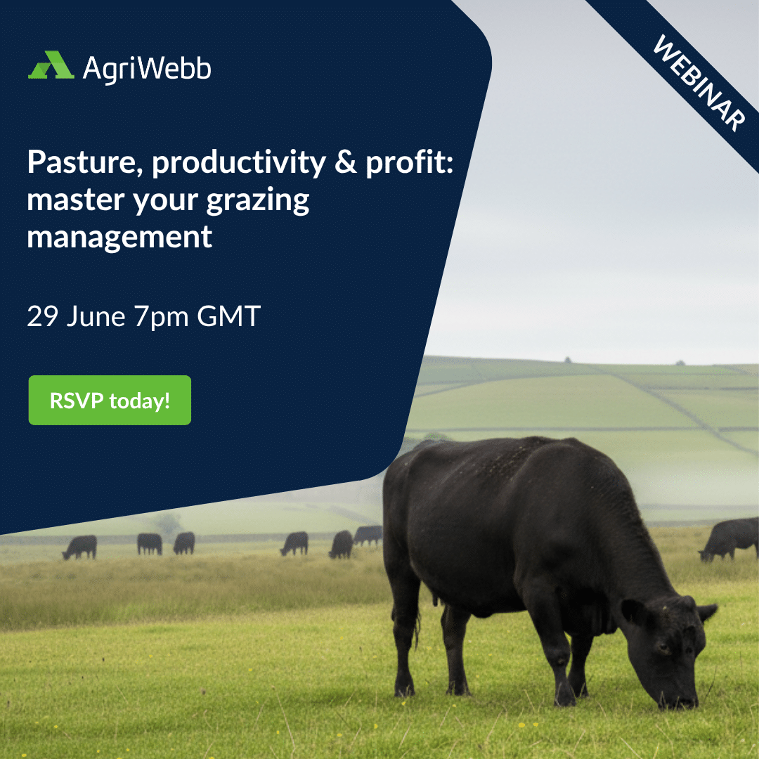 Pasture, productivity & profit: master your grazing management