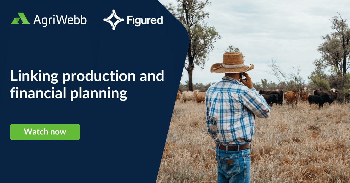 Webinar: Linking production and financial planning
