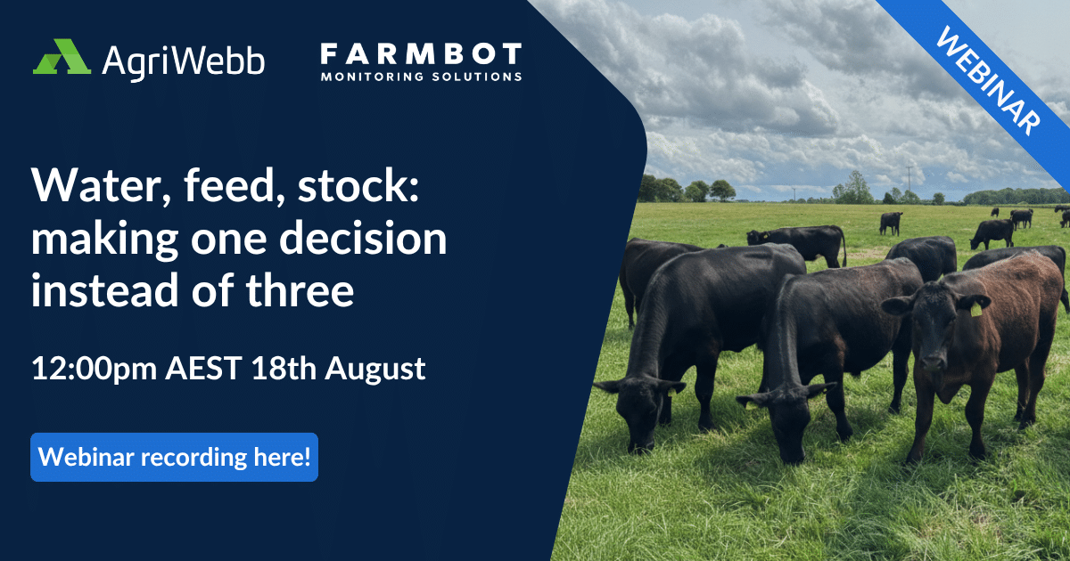 Webinar: Water, feed and stock: making one decisions instead of three